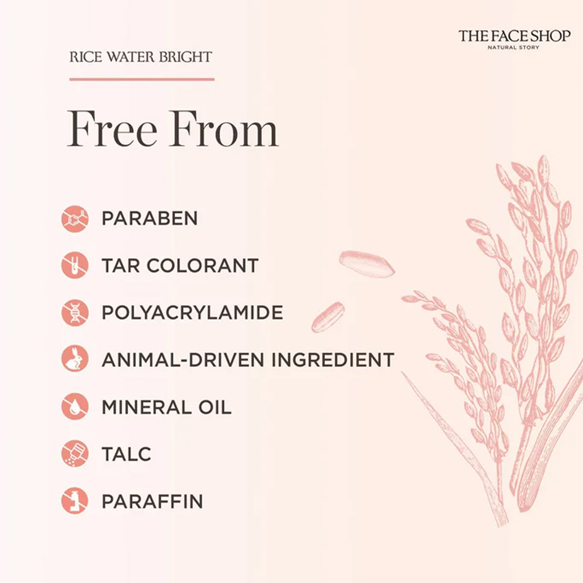 THE FACE SHOP RICE WATER BRIGH – Luxury Skincare Shop Bewertung und Preis